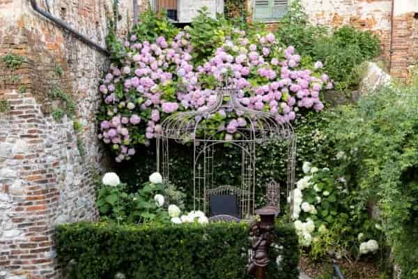 Palazzo Fauzone tra fiori e benessere
