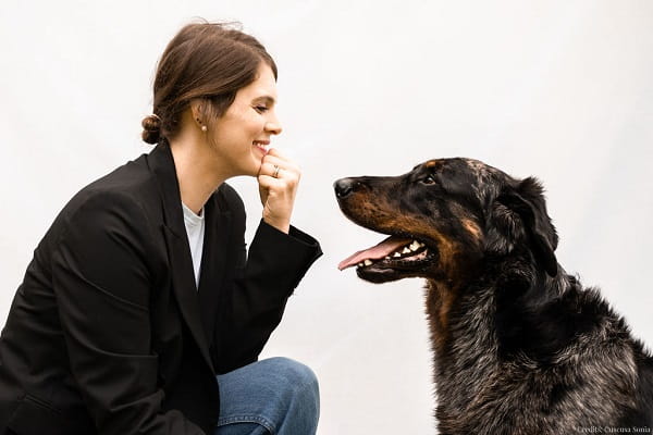 vacanze con cani anziani
