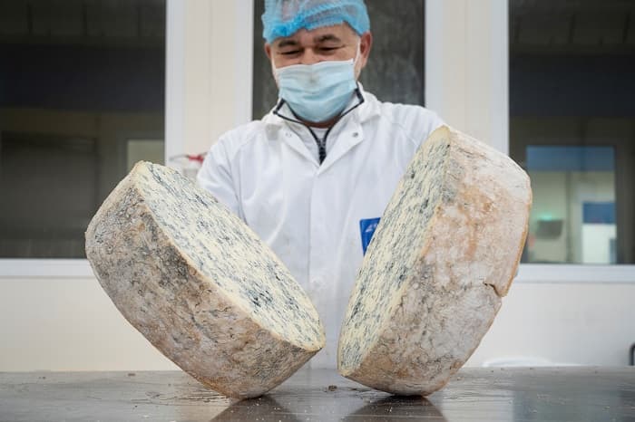 Gorgonzola DOP